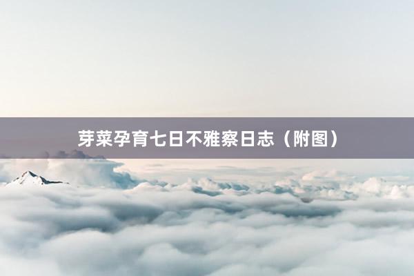 芽菜孕育七日不雅察日志（附图）