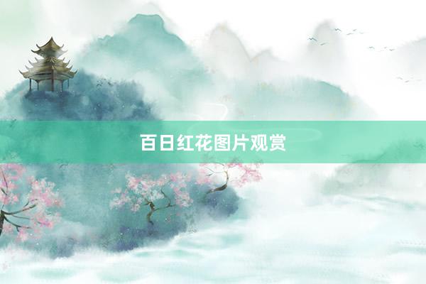 百日红花图片观赏