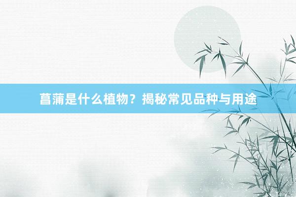 菖蒲是什么植物？揭秘常见品种与用途